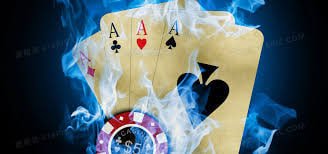 556bet