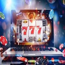 556bet
