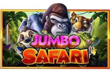 556bet