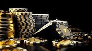 556bet