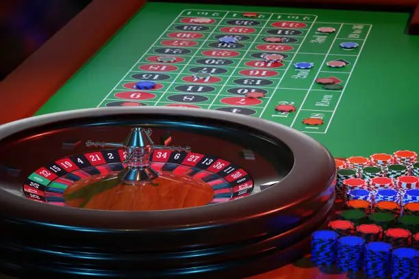 556bet