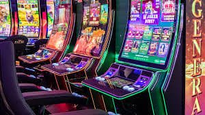556bet